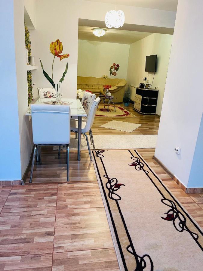 Casa Iris Apartment Iasi Bagian luar foto