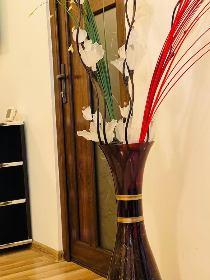 Casa Iris Apartment Iasi Bagian luar foto